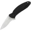 Kershaw 1620 Scallion Assisted Opening Linerlock Folding Pocket Knife -Kershaw 100982 101005