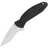 Kershaw 1620ST Scallion Serrated Assisted Opening Stainless Linerlock Folding Pocket Knife With Black Polyamide Handles -Kershaw 100983 101006