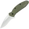Kershaw 1620OL Scallion Assisted Opening Recurve Linerlock Folding Pocket Knife With 6061-T6 Anodized Aluminum Handles -Kershaw 155629 155658
