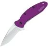 Kershaw 1620PUR Scallion Assisted Opening Recurve Bead Blast Finish Blade Knife With 6061-T6 Anodized Aluminum Handles -Kershaw 155630 155659