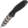 Kershaw 1670TTS Blur Tiger Striped Assisted Opening Tanto Point Linerlock Folding Pocket Knife 1 Kershaw 1670TTS Blur Tiger Striped Assisted Opening Tanto Point Linerlock Folding Pocket Knife -Kershaw 208433 208461