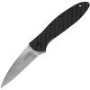 Kershaw 1660CF Leek Carbon Fiber Serrated Blade Assisted Opening Lockback Folding Pocket Knife -Kershaw 215635 215651