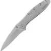 Kershaw USA Leek Speed Spring Assisted Opening Sandvik Blade Pocket Knife 1660 -Kershaw KS1660