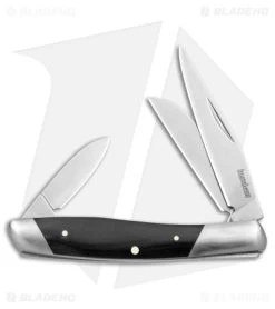 Kershaw Iredale Slip Joint Knife Black Canvas Micarta (2.6" Satin) 4386