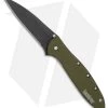 Kershaw Leek Assisted Opening Knife OD Green (3" Black ) 1660OLBLK -Kershaw Kershaw Leek OD Green black BHQ 79637 er